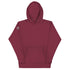 No Free Man Shall Be Debarred The use Of Arms Within His Own Lands Unisex Hoodie (Back Design) - Mainstream Freedom